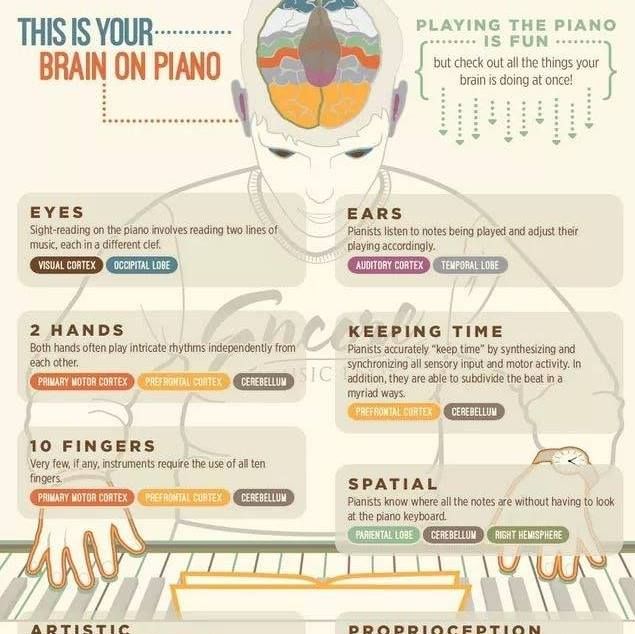 One of the only activities which stimulates and uses the entire brain is music.
If this (photo) is what happens when a pianist plays ... think of what takes place in the brain of an organist.