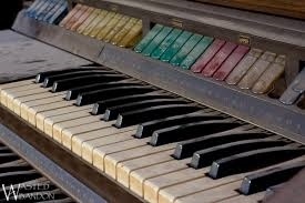 The last sign that the instruction your child received in organ playing was misguided ... is dust on the organ keys.
Under the right direction, that dust will be gone.
[See blog, What About The Piano, Part IV].
