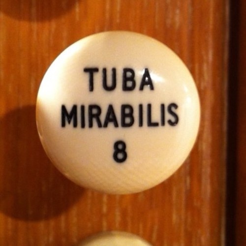 The Tuba Mirabilis (also labeled Tuba Magna, Tuba Major, or Harmonic Tuba) is an assertive chorus reed stop of smooth tone; when there is no Horizontal Trumpet in the instrument the Tuba Mirabilis is typically the loudest voice in the organ [See blog, Horizontal Trumpets].
This Tuba stop is primarily used for fanfares and as a solo voice which can carry a line over the top of the full organ; it works beautifully for soloing the tune in one of the verses of a ringing, triumphant hymn, provided its voice isn't unbearably loud.
Accordingly, this big reed is best served when assigned to an expressive division of the organ where its powerful voice can be given flexibility and expression, which would increase its utility at least ten fold.
If this rank is voiced less assertively and put under expression this way, its blending characteristics might allow it to enter into combination to create an additional level of sound, a final 