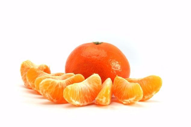 The first segments of an orange when it's peeled, especially when someone is hungry, seem to be far more interesting than the rest of the orange (photo).
In just the same way, when a musical theme is divided into 2 or more segments, the 1st of these segments is of prime interest and can be reiterated to help generate excitement going into the coda; the remainder of the segments can also be worked to help spin out additional material for a bridge or development section.
This compositional tool is called segmentation.
In this technique the entire theme is divided into several segments each one measure long; the rhythmic figure found in each measure is then worked as a short motif to help create bridge passages or developments.
The score for Prelude Internationale Op. 5 exemplifies how this works [See menu bar, Free Stuff, 10 Pieces for the Organ Op. 1-9].
As the coda of a work is approached segmentation is also often employed.
In this situation the 1st phrase of the theme is divided in half, then the 1st half of that phrase is reiterated.
After this, the 1st half of this 1st phrase is divided in half again, and the 1st half of that is reiterated.
These 1st few notes are then repeated as a short motif over and over, thus pounding them into the listener's ears and raising the level of excitement in the closing measures.
Sometimes these 1st few notes are divided in half yet again, down to maybe only a couple of notes which are then reiterated until there's nothing left to reiterate; here the front end of the theme winds up fresh squeezed until all the juice in it is used up.
The c minor Op. 11 Prelude, the a minor Op. 25 Prelude, the F Major Op. 19 Toccata, and the b minor Fugue Op. 26 exemplify how this method of segmenting a theme works in a coda [See menu bar, Free Stuff].
This technique can also be applied in other imaginative ways.
For example, in working a fugue, just the 