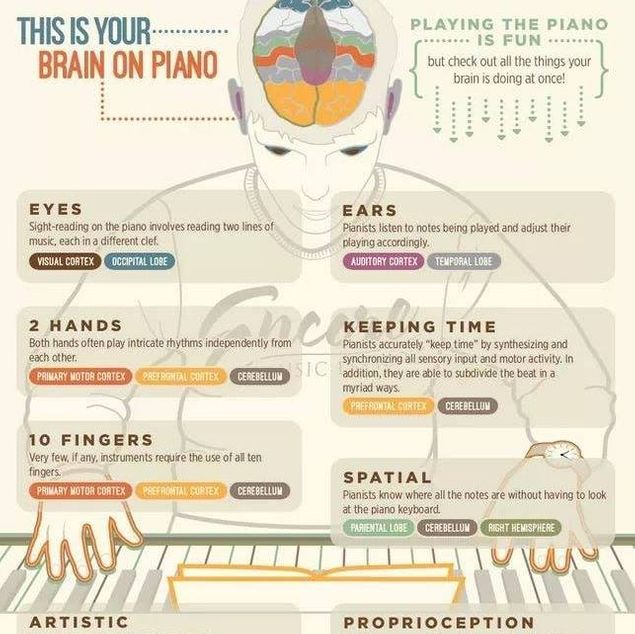One of the only activities which stimulates and uses the entire brain is music.
If this (photo) is what happens when a pianist plays ... think of what takes place in the brain of an organist.